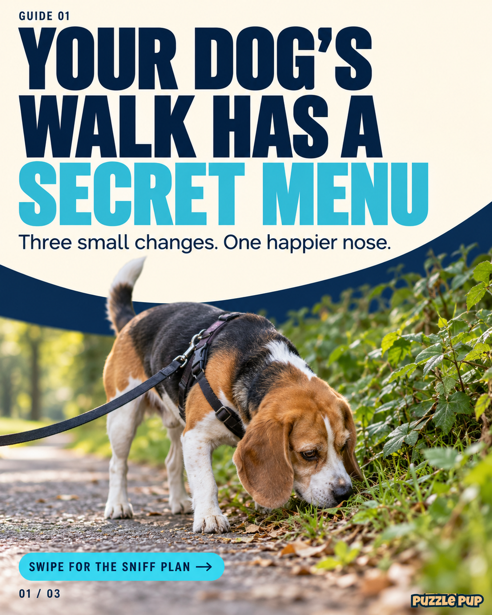 Your dog's walk has a secret menu: a beagle on a leash investigating a leafy path