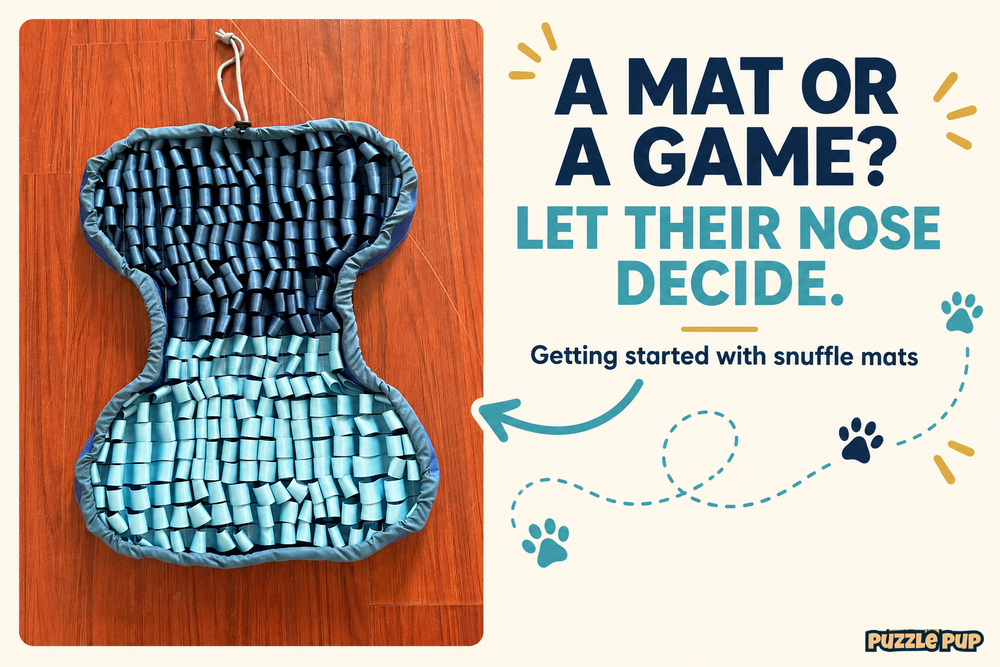 PuzzlePup navy and aqua bone-shaped snuffle mat with paw and path icons for getting started with sniffing games.