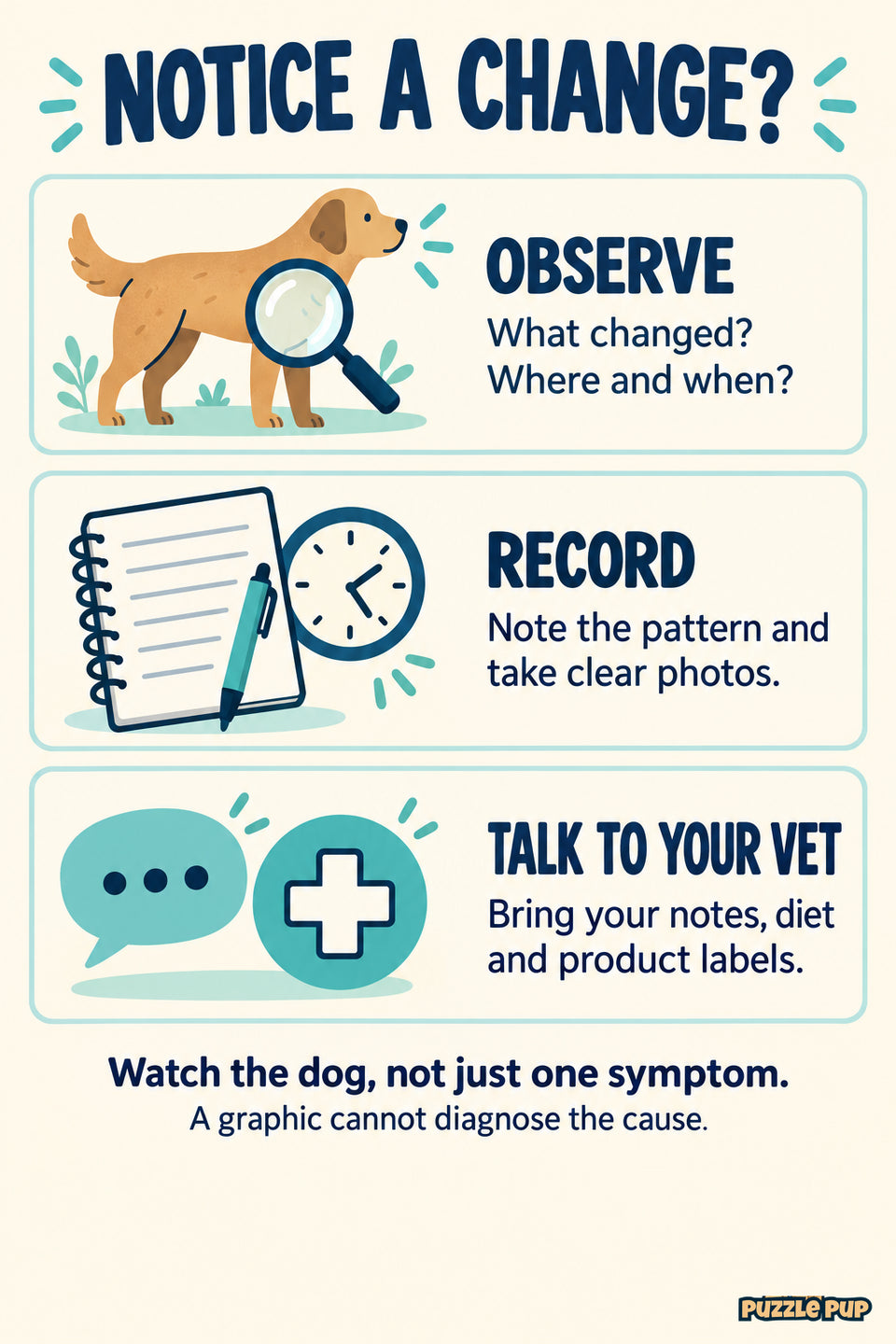 Dog-care observation steps: notice what changed, record the pattern and discuss notes, diet and labels with your veterinarian