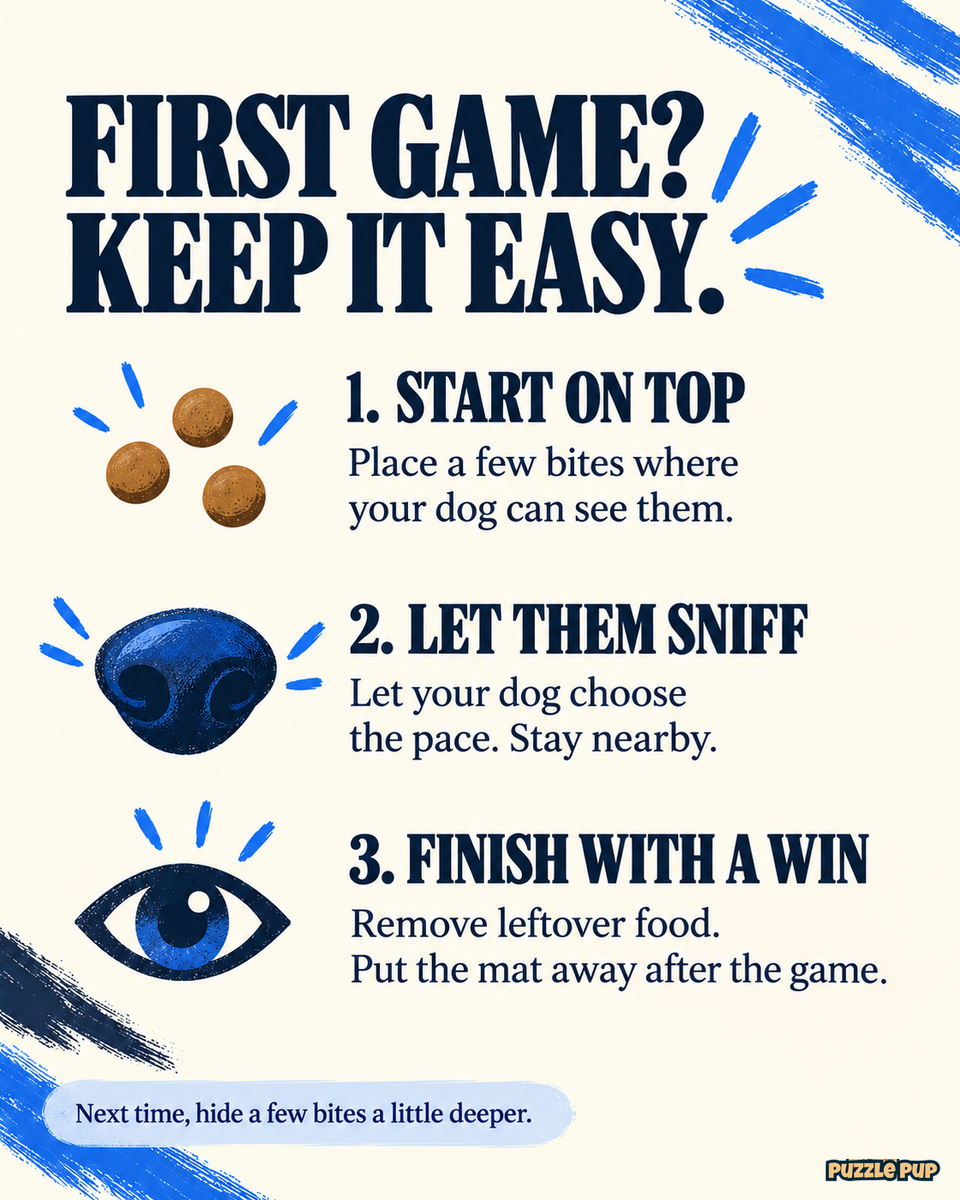 First snuffle-mat game guide: start with a few visible bites, let your dog sniff at their own pace, and finish by removing leftovers and putting the mat away.
