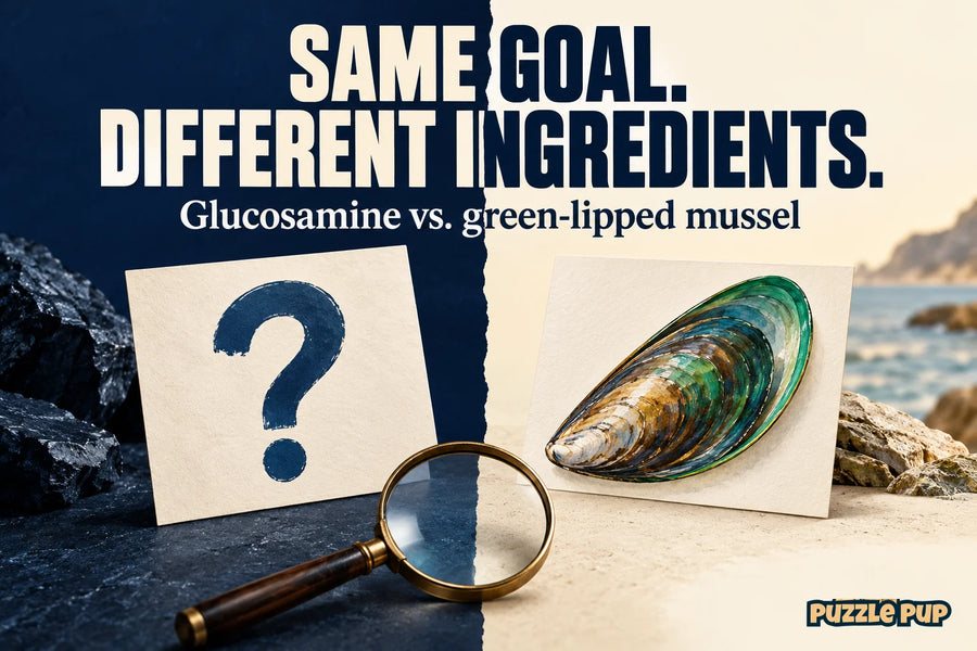 Editorial cover: SAME GOAL. DIFFERENT INGREDIENTS. Glucosamine vs. green-lipped mussel