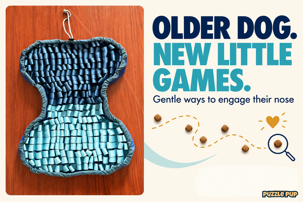 PuzzlePup navy and aqua bone-shaped snuffle mat with a gentle scent trail illustration for engaging older dogs.
