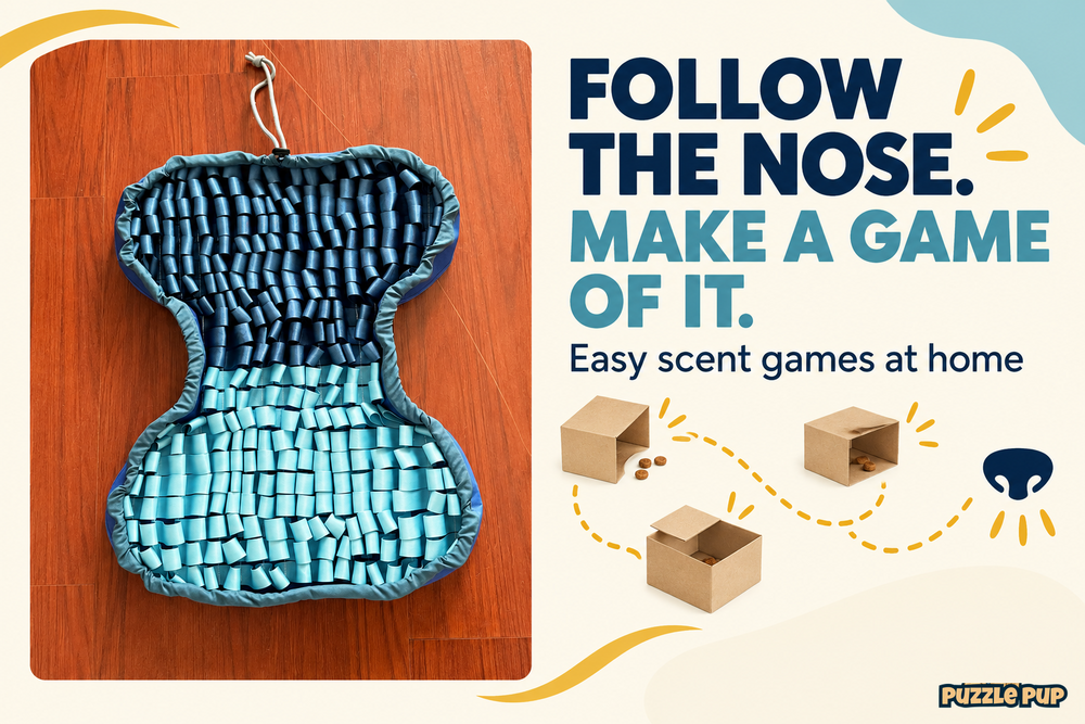 PuzzlePup navy and aqua bone-shaped snuffle mat with cardboard-box and nose illustrations for scent games at home.