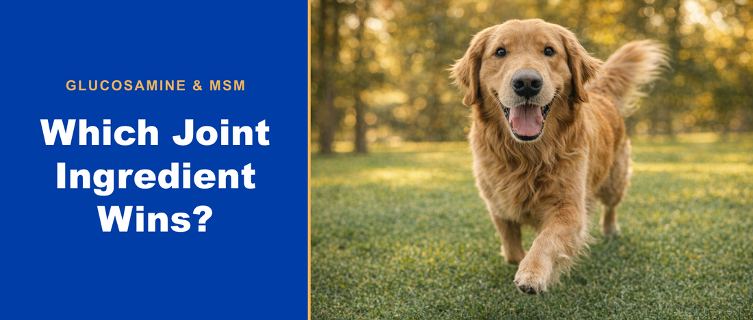 Glucosamine, MSM and Boswellia: which joint ingredient wins?
