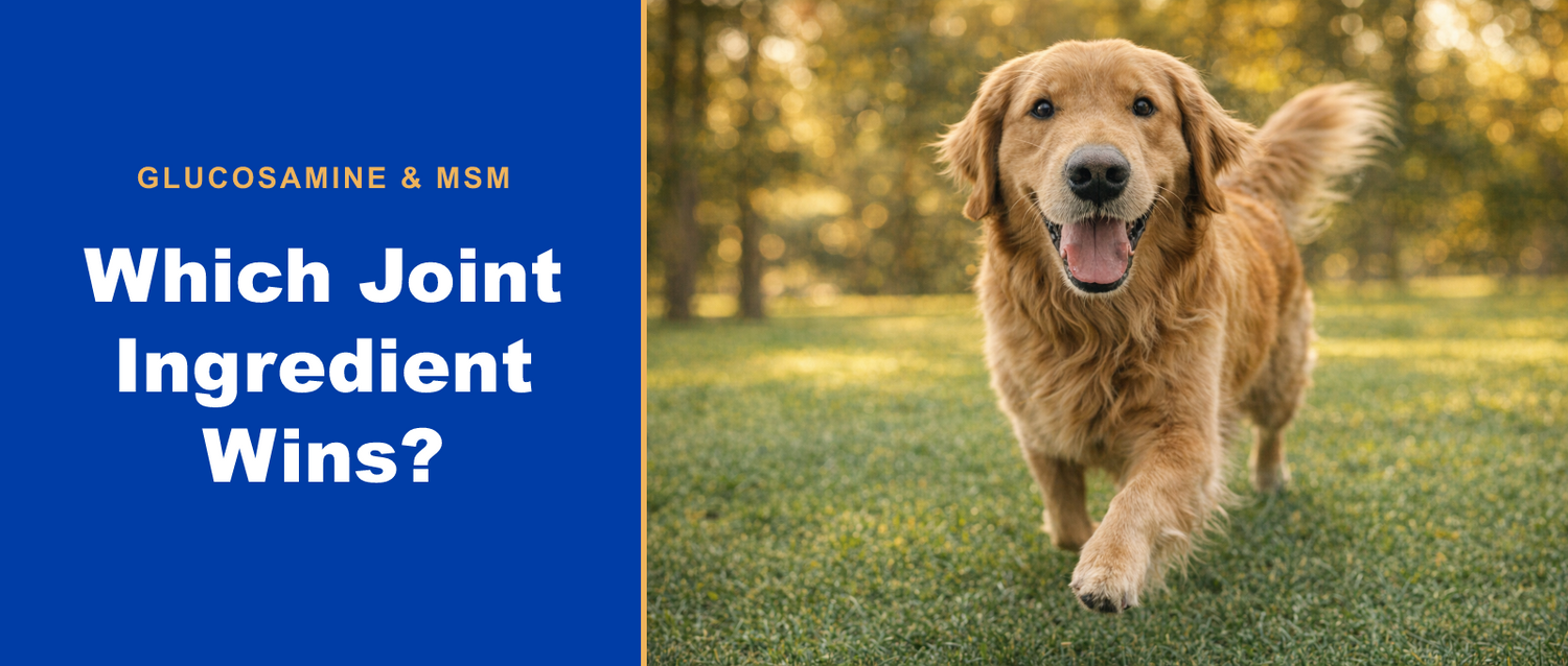 Glucosamine, MSM and Boswellia: which joint ingredient wins?