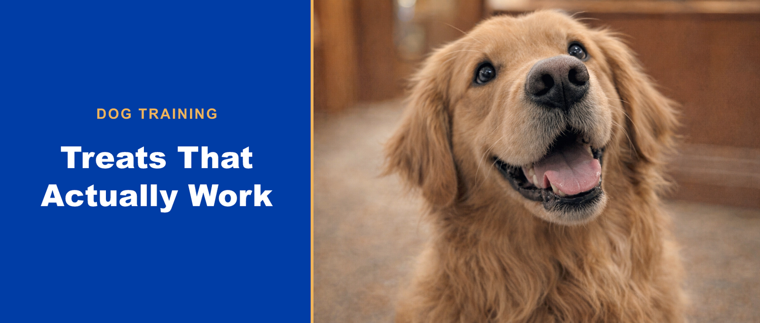 Treats that actually work for dog training