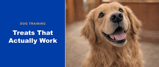 Treats that actually work for dog training