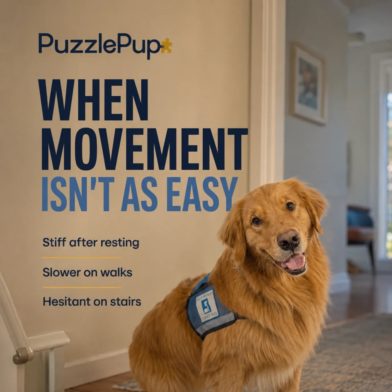 Common signs of stiffness and reduced mobility in dogs