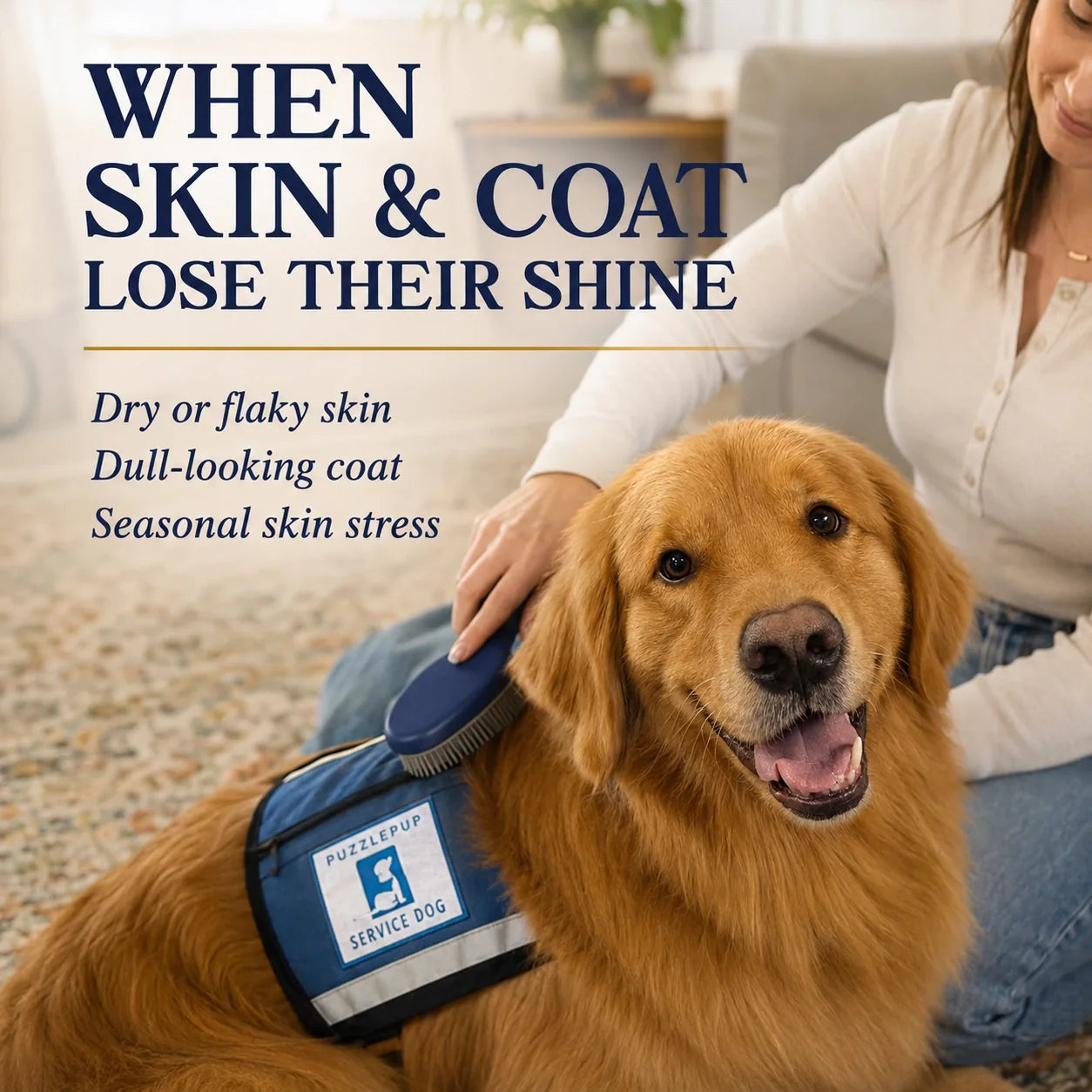 Common skin and coat concerns including dry or flaky skin and a dull-looking coat