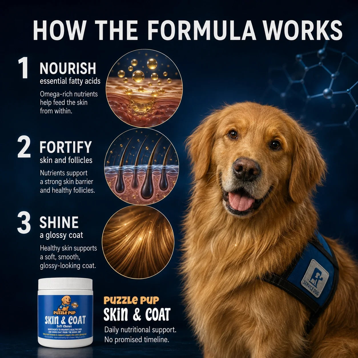 How PuzzlePup Skin & Coat Soft Chews nourish skin and support a glossy coat