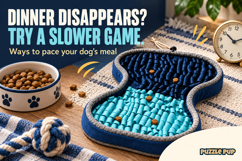 Editorial cover: DINNER DISAPPEARS? TRY A SLOWER GAME. Ways to pace your dog's meal